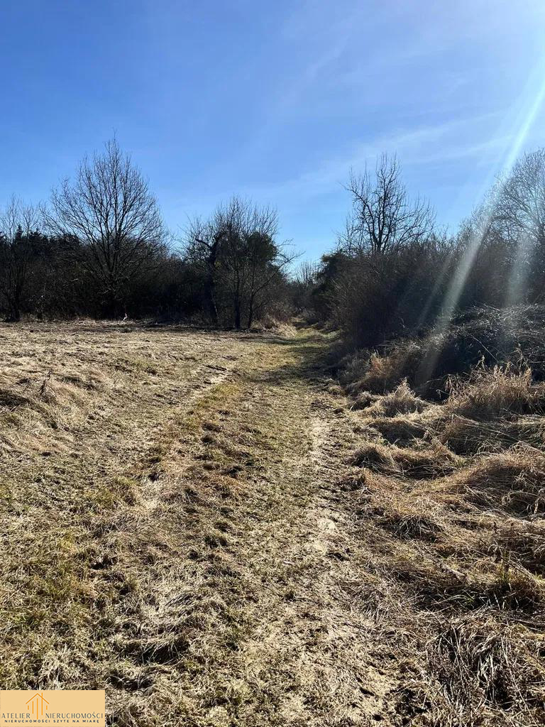 03 DZIAŁKA CHOJNA – 925 m2 i 1076 m2
