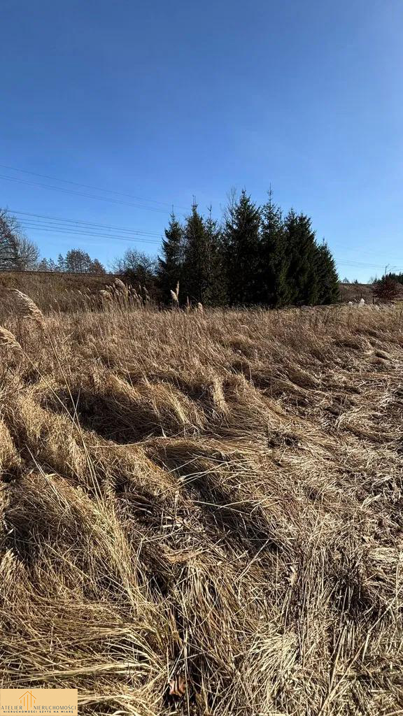 03 Działka budowlana CHOJNA 1952 m2