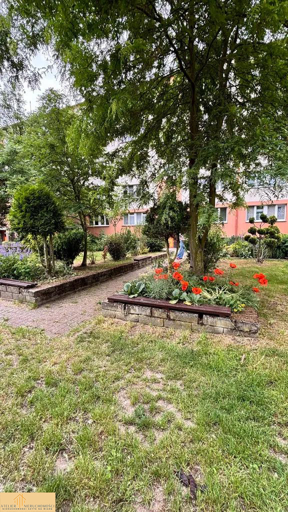 15 PARTER – mieszkanie 52 m2, 3 pokoje