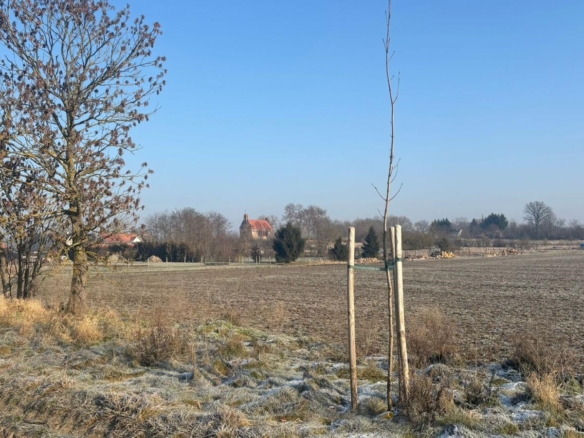 DZIAŁKA DOŁGIE 3607 m2