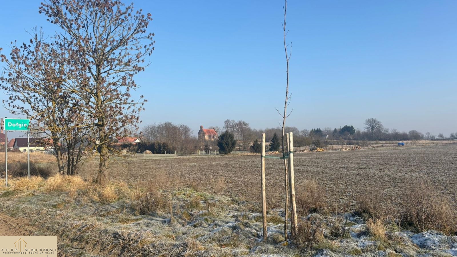 2 DZIAŁKA DOŁGIE 3607 m2
