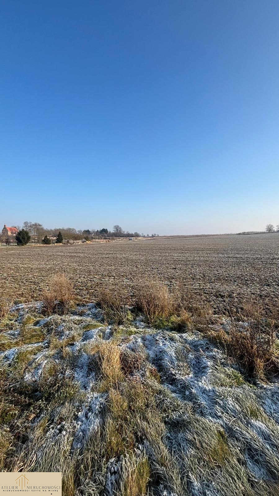 3 DZIAŁKA DOŁGIE 3607 m2